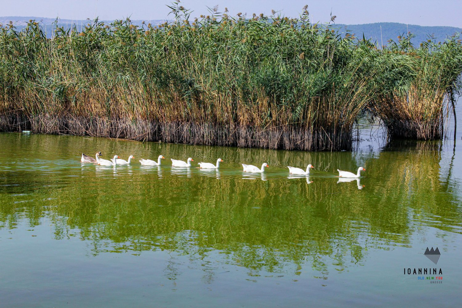 The lake Pamvotida